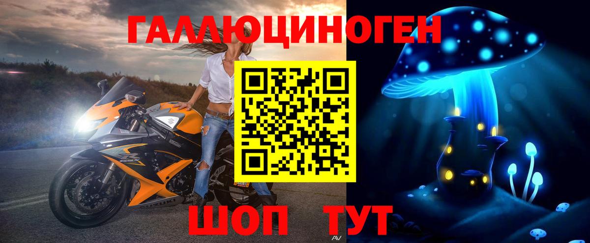 Псилоцибиновые грибы прущие грибы Сокол